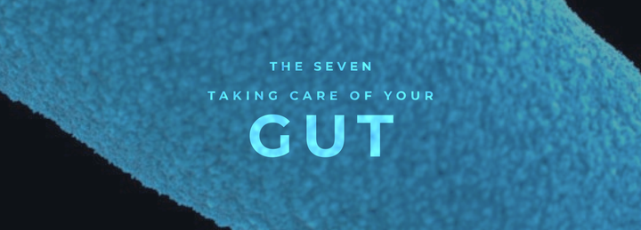 [THE SEVEN] 5. Take Care of Your (100 Trillion) Gut Bacteria