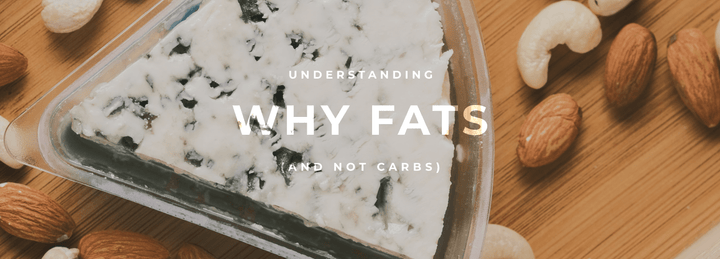 Why Fats (And Not Carbs) Are The Body's Preferred Fuel Source